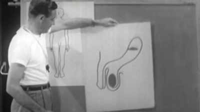 Here, maybe a diagram will help. - Good Sex
