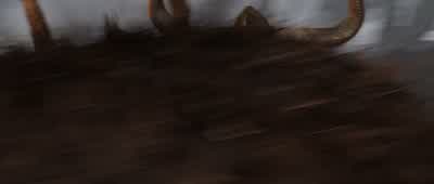 Here Oh no Here - How to Train Your Dragon