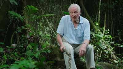 Here, on the floor
of a tropical rainforest, - The Green Planet
