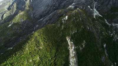 Here, on the slopes
of Mount Kinabalu, - The Green Planet