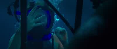 Here, put this on, quick. - 47 Meters Down