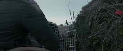 Here. - My Penguin Friend