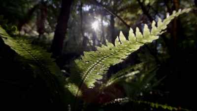 Here, we see
that even down below, - When Nature Calls with Helen Mirren
