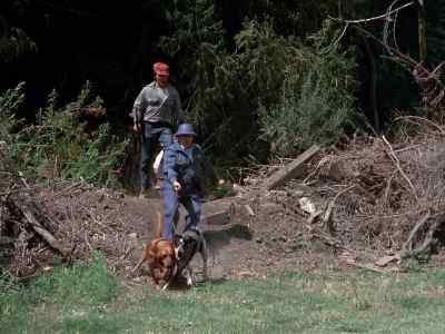 Here! Take the dogs!
You go on ahead. - Dark Night of the Scarecrow