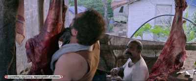 Here is tea for you - Jallikattu