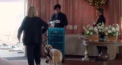 Here, Teddy. Let's go, Teddy.
Up, good boy. - Love, Weddings &amp; Other Disasters