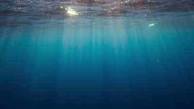 Here, there is nowhere to hide - Blue Planet II