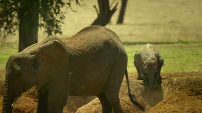 Here, there is so much else
for her family to enjoy. - Serengeti