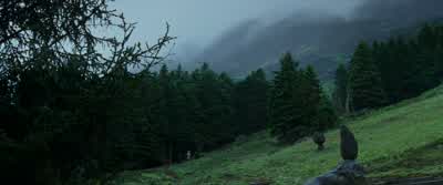Here they come. - Harry Potter and the Prisoner of Azkaban