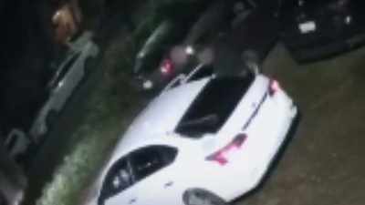 Here, thieves are trying
to steal them - Neighborhood Wars