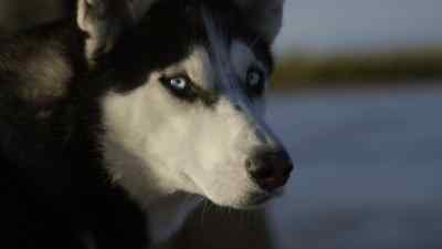 HERE WE GO. - The Last Alaskans