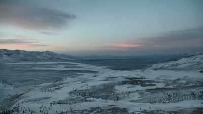 Here within the Arctic Circle, - Prehistoric Planet