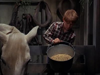HERE YOU GO, DOLLY-- BREAKFAST. - The Andy Griffith Show