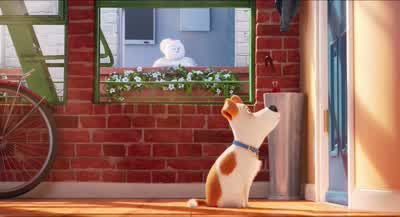 Here you go. - The Secret Life of Pets