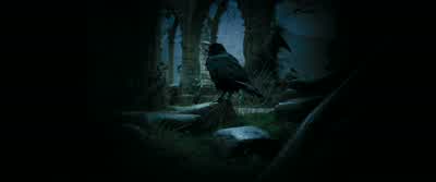...hereinafter called "the condemned," shall be executed this day at sundown. - Harry Potter and the Prisoner of Azkaban