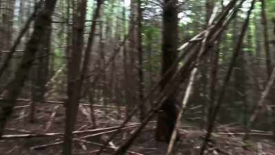 Here's a third...
that I'm noticing now. - Expedition Bigfoot