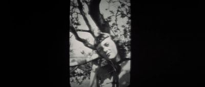 Here's Gwen - Carnal Knowledge