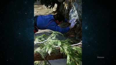 Here's Shatner coming, - The Center Seat: 55 Years of Star Trek