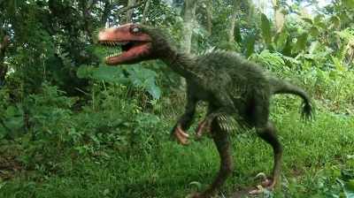 HERE'S SOME NICE RAPTOR CLAWS. - Dino Hunters