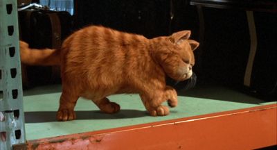 Here's the drill Cats scratch like you've never scratched before - Garfield
