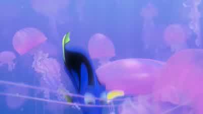 Here's the game. - Finding Nemo