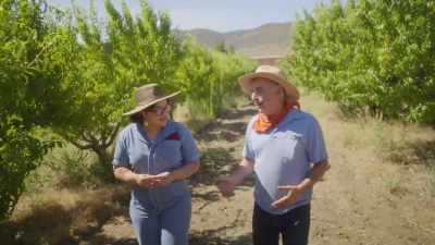 Heritage grains are like...
Kinda like
heirloom tomatoes... - What Am I Eating? With Zooey Deschanel