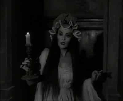 Herman, what are
you doing down there? - The Munsters