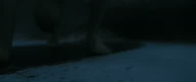 Hermione?- Are you mental? - Harry Potter and the Deathly Hallows: Part 1