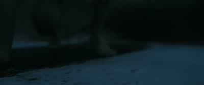 Hermione? - Harry Potter and the Deathly Hallows: Part 1