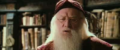 Hermione! - Harry Potter and the Chamber of Secrets