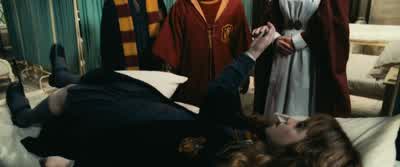 Hermione! - Harry Potter and the Chamber of Secrets