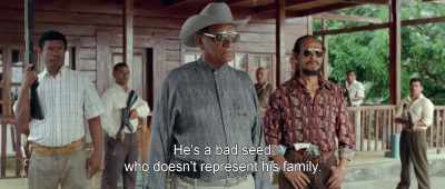 He's a bad seed
who doesn't represent his family. - Birds of Passage