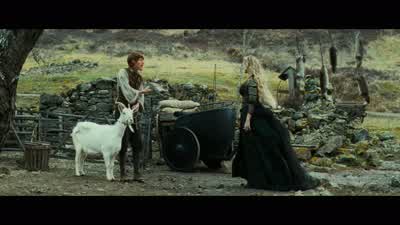He's a bit small to pull your cart. - Stardust