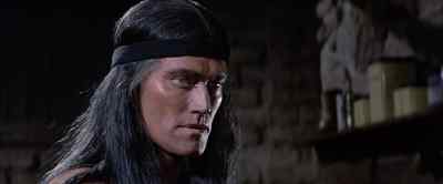 He's a fine-looking boy. - Geronimo