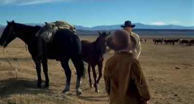 He's a nice little
gentleman, ain't he? - Shoot Out