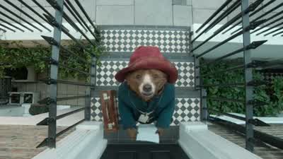 Mary He's about three foot sixHe's got a bright red hat on and a blue duffle coatAnd he's a bearIt's not much to go onReally - Paddington