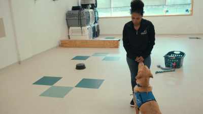 He's animated and loving,
and he enjoys training, - Inside the Mind of a Dog