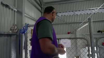 He's been here three times now, - Miriam Margolyes: Australia Unmasked