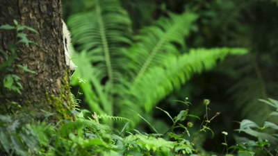 He's been hibernating
in an underground stream - A Year on Planet Earth