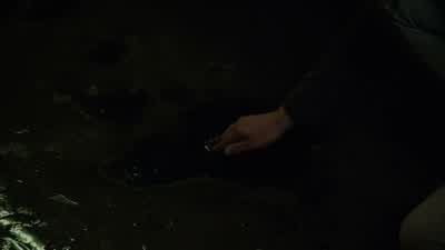 He's been poisoned. - Teen Wolf