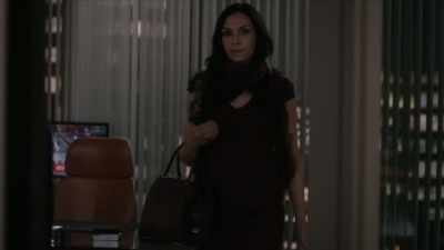 He's better than therapy. - The Blacklist: Redemption