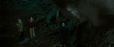 He's completely harmless, just like I said. - Harry Potter and the Order of the Phoenix