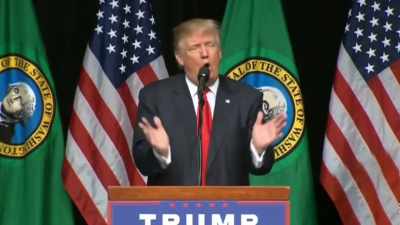 He's constantly on
television, Lindsey Graham - Trump: The Art of the Insult