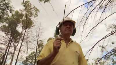 He's convinced
that dowsing can indicate - Outback Opal Hunters