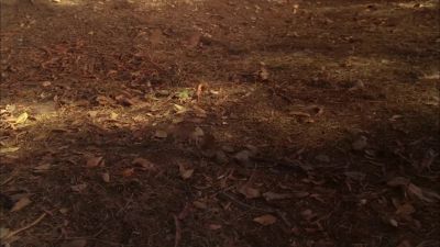 He's crossed over. - Ghost Whisperer