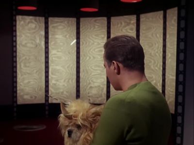 He's dead, Doctor. - Star Trek