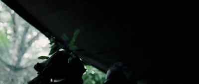 He's dead. He's dead! - Tunnel Rats