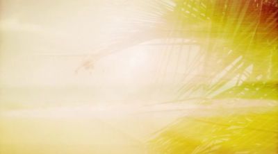 He's dead. - Death in Paradise