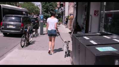 He's definitely a New Yorker at heart - Dogs