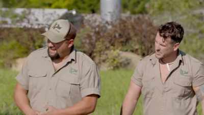 He's doing great.
Got a little swagger going. - Secrets of the Zoo